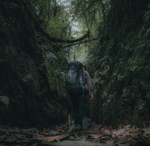 Berpetualang Di Jayagiri Lembang Cocok Untuk Hilangkan Penat Bolu