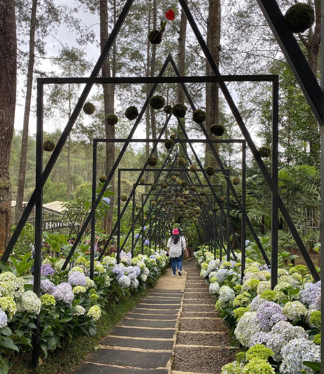 10 Rekomendasi Wisata Alam Lembang, Cocok Untuk Healing! - Bolu Susu ...