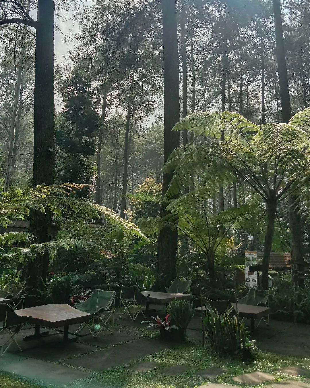 10 Rekomendasi Wisata Alam Lembang, Cocok Untuk Healing! - Bolu Susu ...