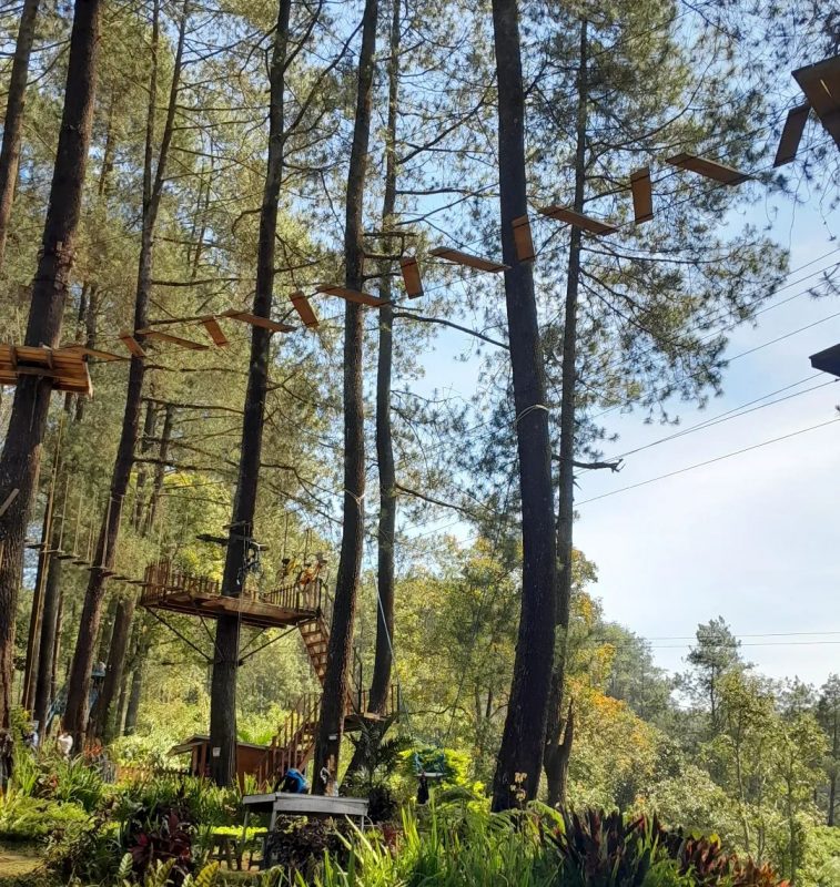 Wisata Hutan Pinus Pal 16 Cikole Lembang