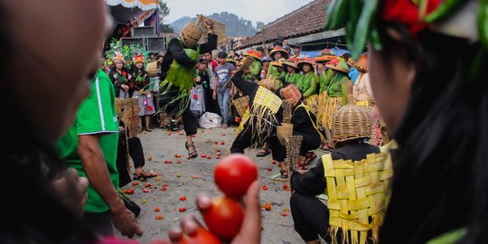 Perang Tomat Lembang