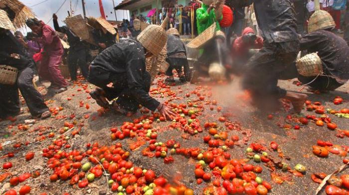 Tradisi Perang Tomat